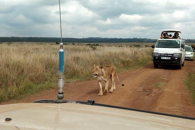 2-Day Amboseli National Park Safari- Daily Departures - Key Points