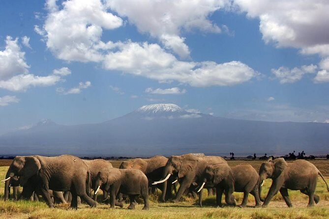 2-Day Amboseli Safari - Key Points