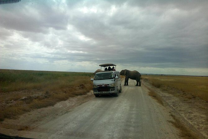2-Day Amboseli Safari - Whats Included and Whats Not