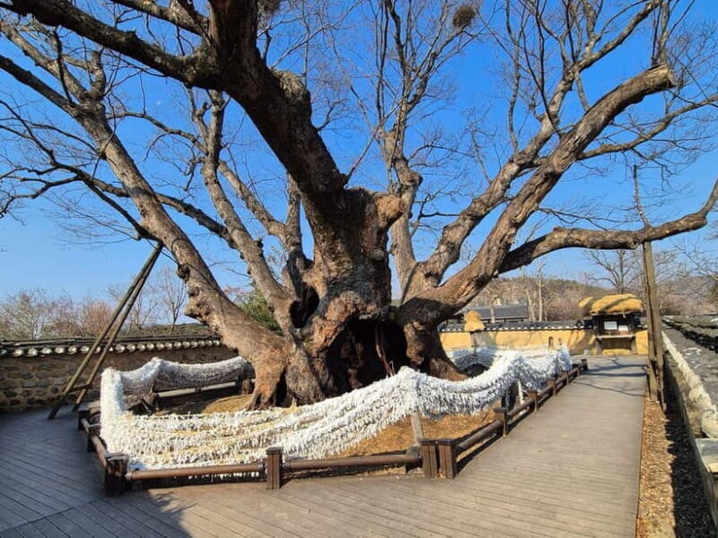 2-Day Andong and Gyeongju UNESCO Tour from Andong - Practical Tips for Making the Most of the Tour