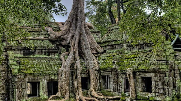 2-day-angkor-wat-with-small-big-circuit-banteay-srei-tour