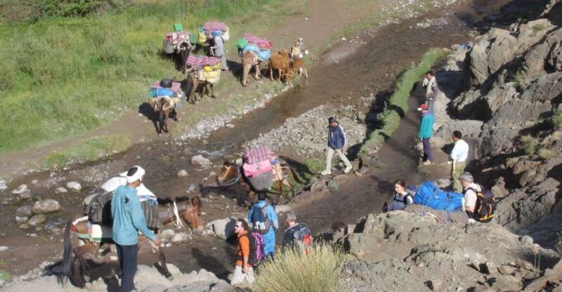 2-Day Atlas Mountains Morocco Trek with Village Stay - Authenticity, Guides, and Local Flavor