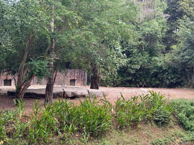 2-day-authentic-mekong-delta-tour-with-female-tour-guide