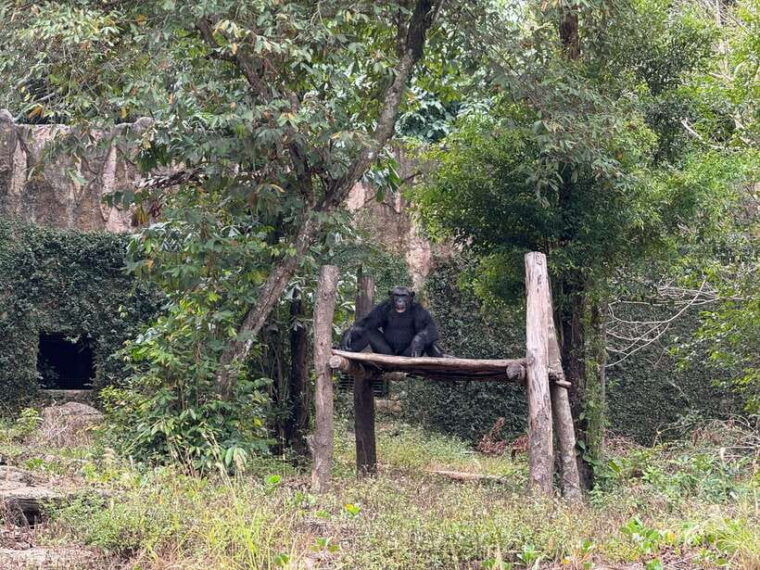 2-day-authentic-mekong-delta-tour-with-female-tour-guide