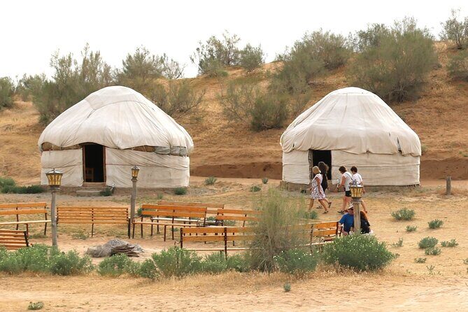 2 Day Aydar Lake Yurt Camping Tour from Bukhara - A Practical Review of the 2 Day Aydar Lake Yurt Camping Tour from Bukhara