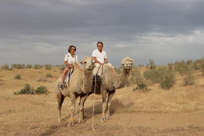 2 Day Aydar Lake Yurt Camping Tour from Bukhara - Key Points