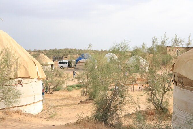 2 Day Aydar Lake Yurt Camping Tour from Samarkand - Exploring the Itinerary: What to Expect