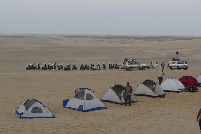 2 Day Bahariya Oasis White Desert Tour - Who Will Enjoy This Tour Most?
