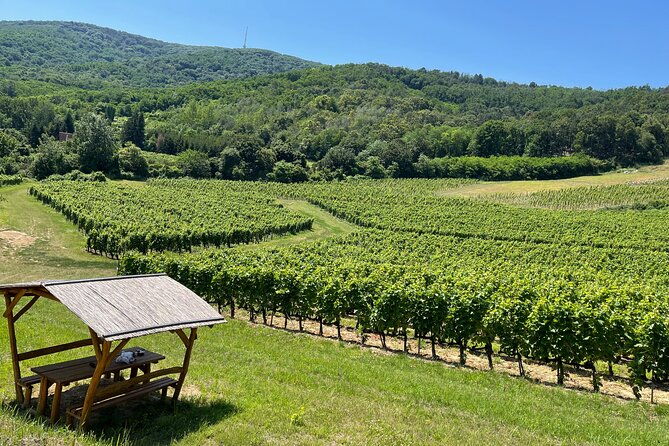 2-day-boat-trip-and-city-tour-in-tokaj-hungary-with-wine-tasting