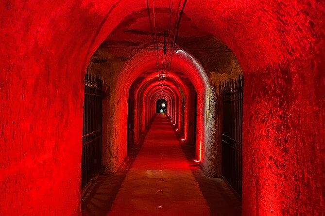 2-day-burgundy-4-domains-champagne-moet-veuve-clicquot-private