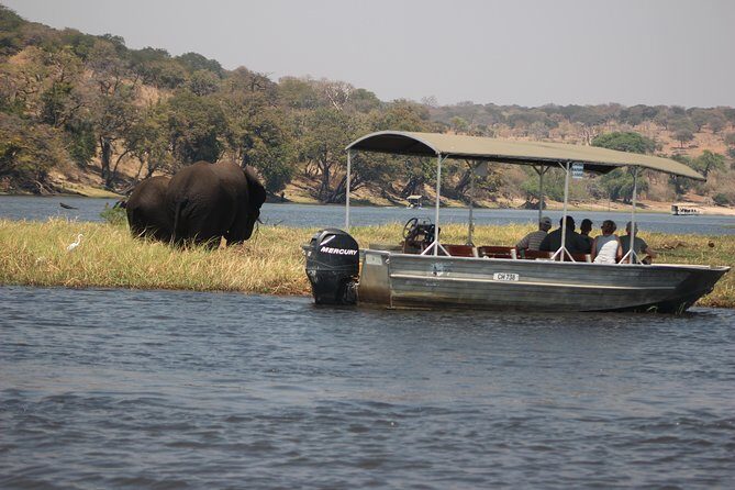 2-Day Camping Safari in Chobe National Park from Victoria Falls - Final Thoughts