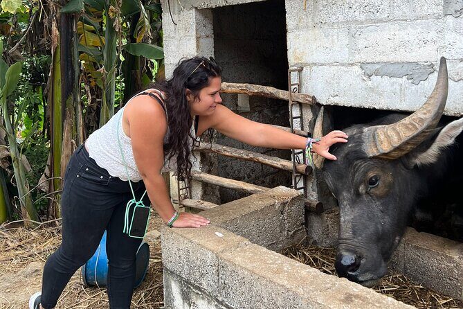 2 Day Cao Bang Trekking in Ban Gioc Waterfall with Crafts Village - What You Can Expect on Day 1