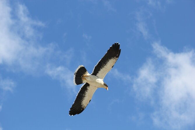 2-day-cerro-madsen-ascent-laguna-torre