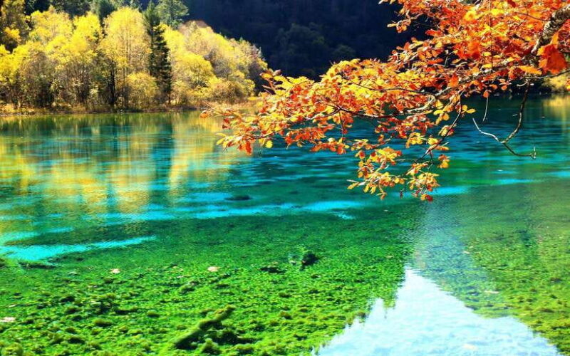 2 Day Chengdu to Jiuzhaigou&Huanglong Self-Guided w/Transfer - Key Points