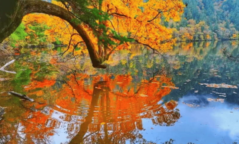 2 Day Chengdu to Jiuzhaigou&Huanglong Self-Guided w/Transfer - Authentic Insights from Reviews