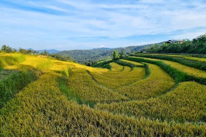 2 Day Chiang Mai Jungle Trek with Hill Tribes and Bamboo Rafting - Frequently Asked Questions
