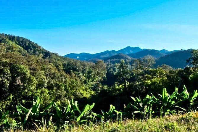 2 Day Chiang Mai Jungle Trek with Hill Tribes and Bamboo Rafting - Final Thoughts