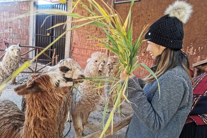 2-day-chinchero-moray-salt-mines-ollantaytambo-and-machupicchu