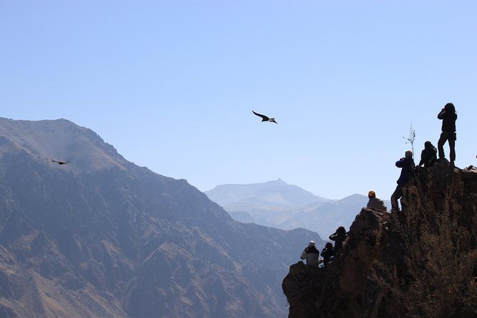 2-day-colca-canyon-vicuna-reserve-and-condors-from-arequipa
