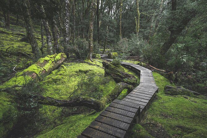 2 day Cradle Mountain and Wineglass Bay - The Sum Up: Who Is This Tour For?  