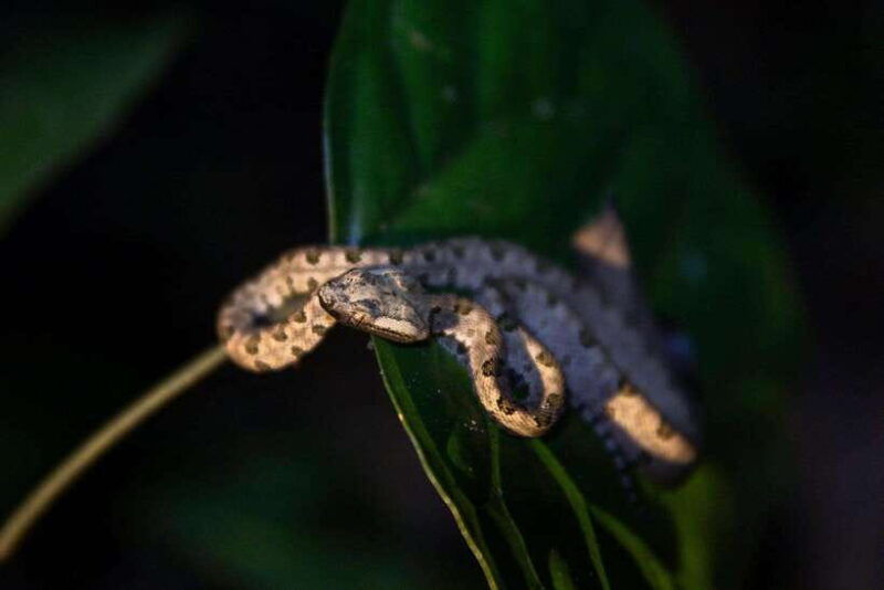 2-day-cuc-phuong-national-park-private-tour-from-ha-noi