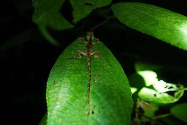 2-day-cuc-phuong-national-park-private-tour-from-ha-noi