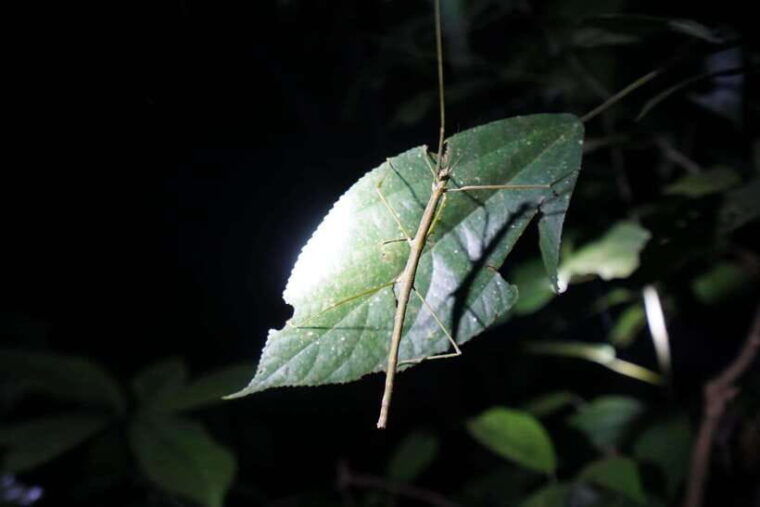 2-day-cuc-phuong-national-park-private-tour-from-ha-noi