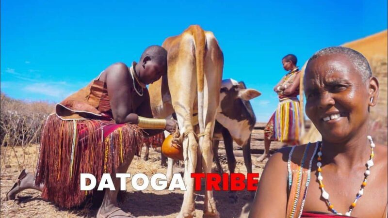 2-Day Cultural Trips to The Hadzabe and Datoga Tribes - Key Points