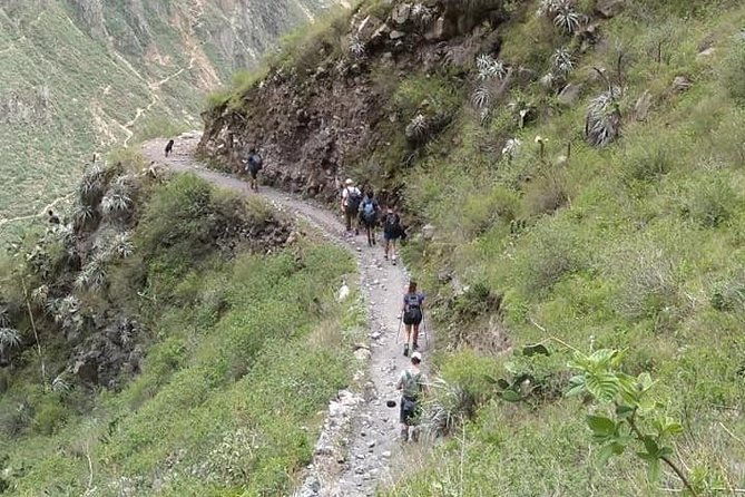 2-day-custom-colca-canyon-trek-from-arequipa