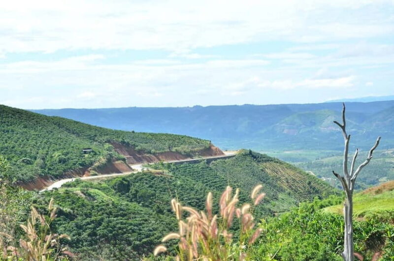 2-Day Dalat Motorcycle Tour To Mui Ne - An In-Depth Look at the Journey