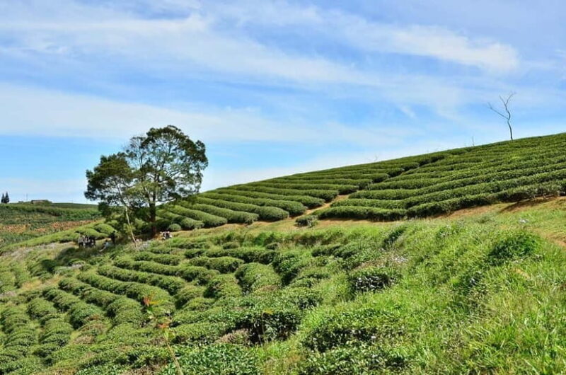 2-Day Dalat Motorcycle Tour To Mui Ne - Authentic Experiences and Hidden Gems