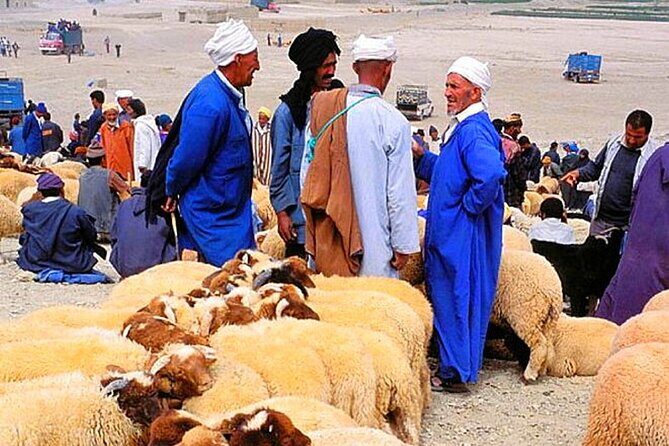 2 Day Desert Tour From Marrakech through the Atlas Mountains & Camel ride - Key Points