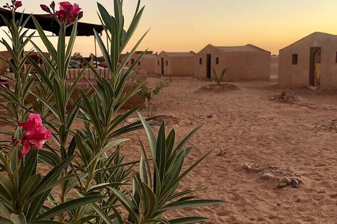 2 Day Desert Tour from Mhamid - FAQ