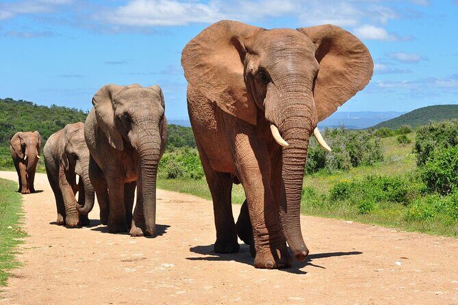 2 Day Drakensberg Mountains & Tala Game Reserve Tour From Durban - FAQ