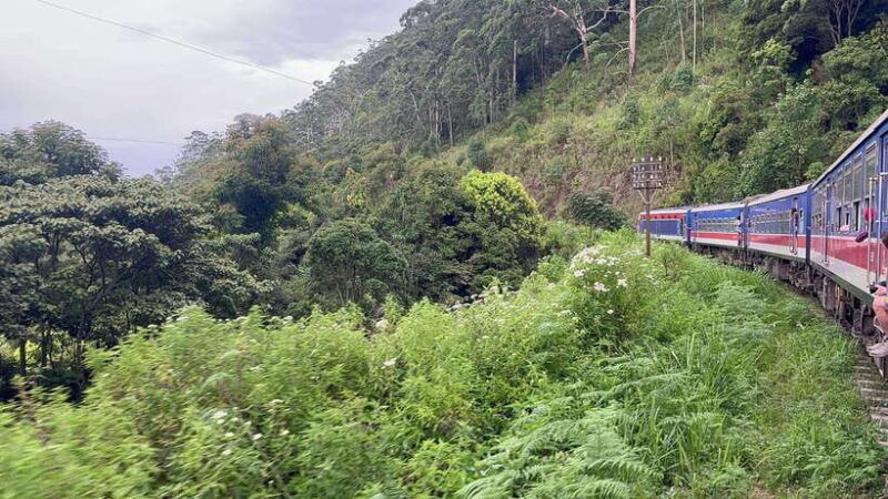 2-day-ella-tour-diyaluma-falls-horton-plains-scenic-train