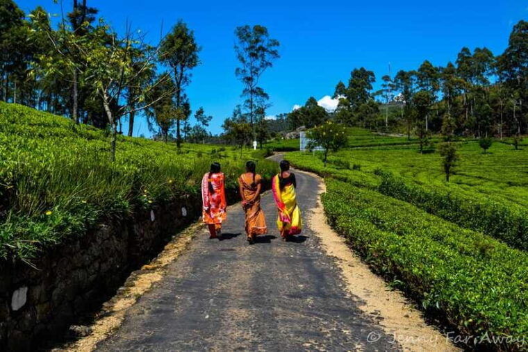 2-day-ella-tour-diyaluma-falls-horton-plains-scenic-train