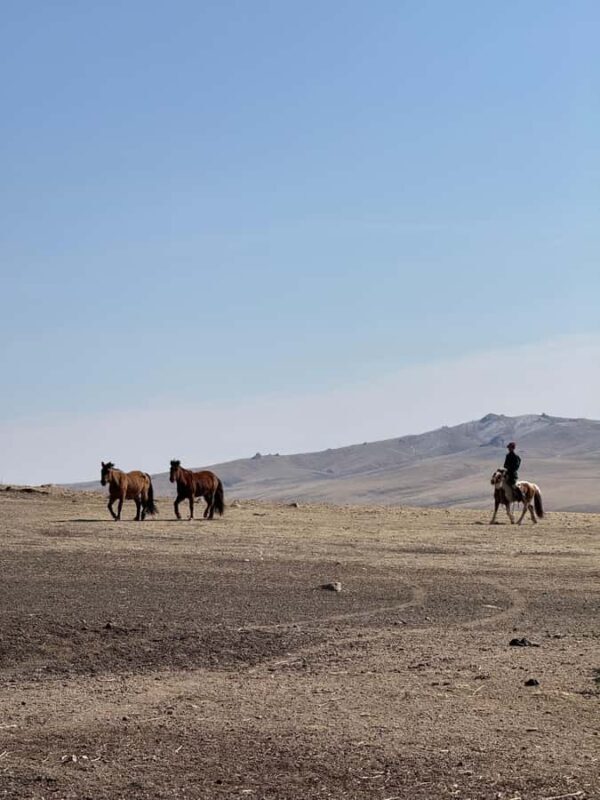 2-Day Elsen Tasarhai/Sand Dune hills & Nomadic Experience - Final Thoughts: Why Choose This Tour?