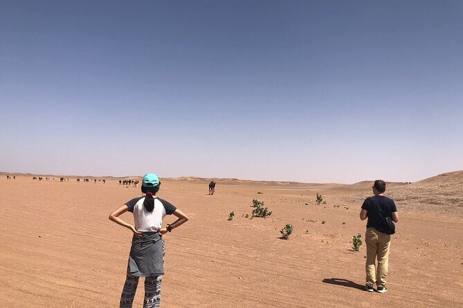 2-day Erg Chegaga Desert Tour from Mhamid South of Morocco - Why This Tour Works for Different Types of Travelers  