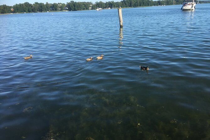 2-day-excursion-to-bad-saarow