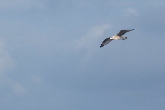 2-day-excursion-to-the-columbretes-islands-by-sailboat