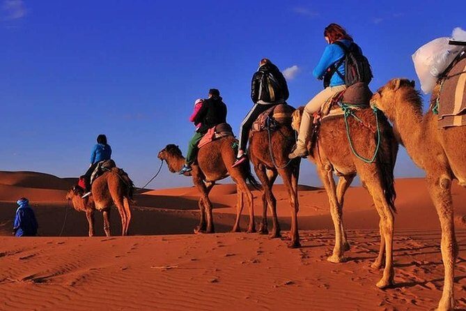 2 Day Excursions Marrakech Merzouga Erg Chebbi Camel Trek 2 Days 1 Nights Luxury - Key Points