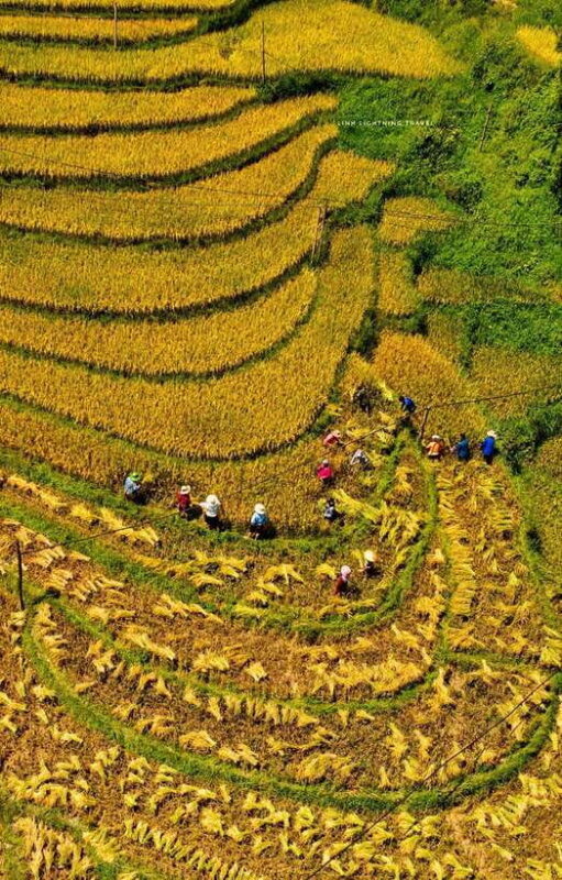 2-day Experiences of Sapa Ethnic Homestay Trek - What Makes This Tour a Good Choice?