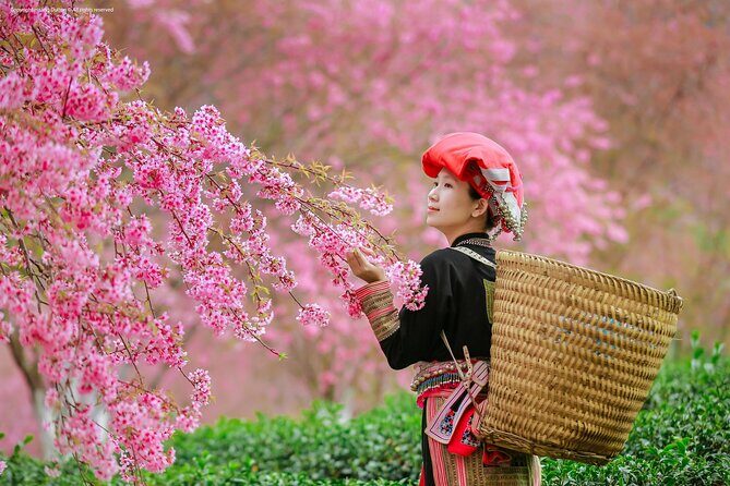 2-Day from Sapa: Majestic Valleys-True Homestay - Fansipan - Bike - Key Points