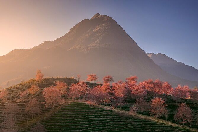 2-Day from Sapa: Majestic Valleys-True Homestay - Fansipan - Bike - FAQ