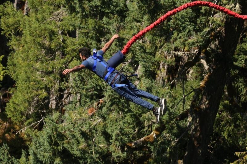 2-Day Garden Route Bungee Jump, Zipline & Shark Diving Tour - The Start: From Cape Town to the Garden Route