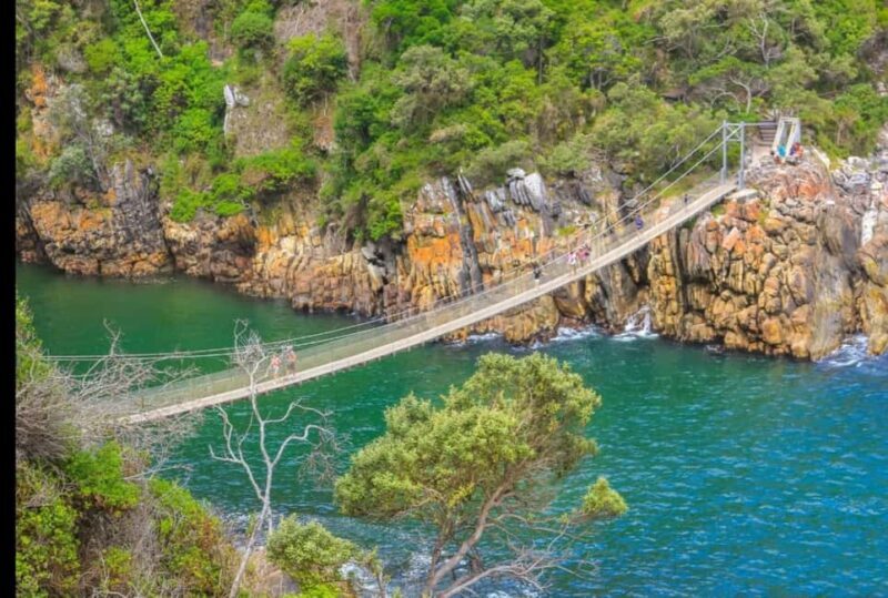 2-Day Garden Route From Port Elizabeth - Tsitsikamma & Plett - What to Expect from the Tour