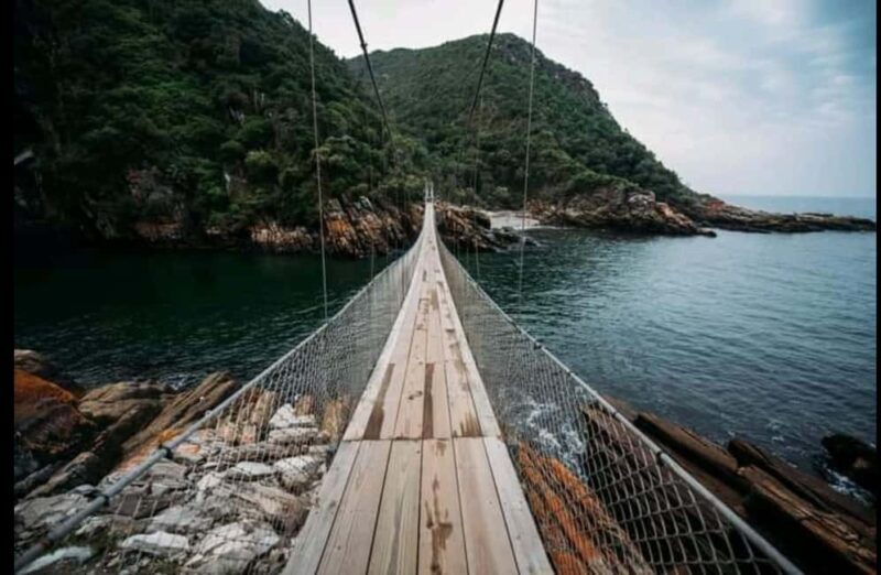 2-Day Garden Route From Port Elizabeth - Tsitsikamma & Plett - Authentic Experiences and Insider Insights