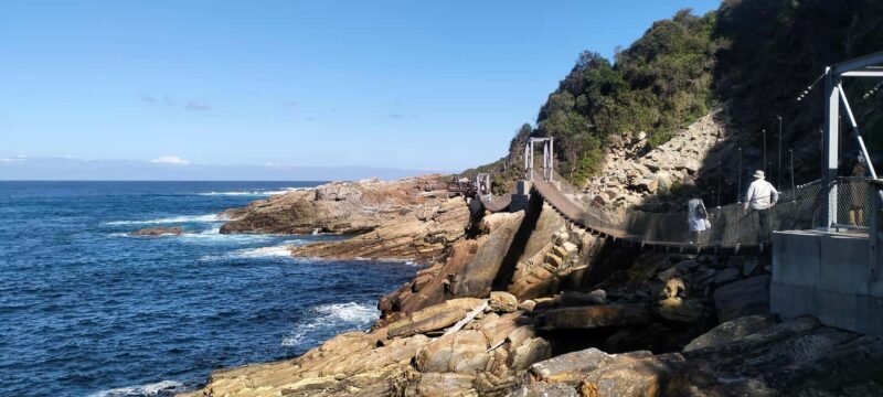 2-Day Garden Route From Port Elizabeth - Tsitsikamma & Plett - Who Would Love This Tour?