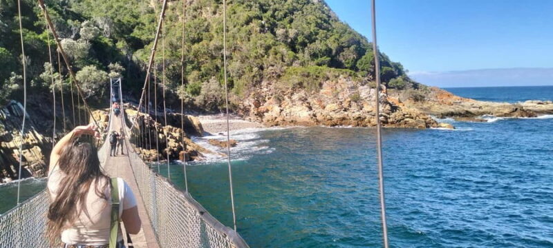 2-Day Garden Route From Port Elizabeth - Tsitsikamma & Plett - The Sum Up