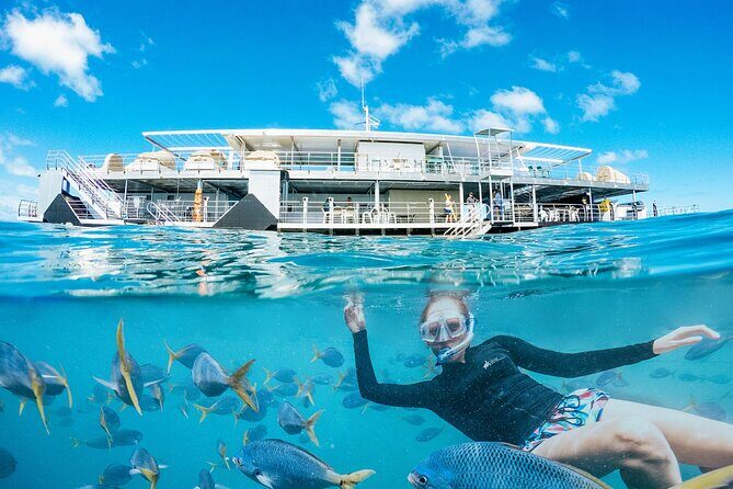 2-Day Great Barrier Reef: Reefsleep Experience - Snorkeling and Underwater Exploration